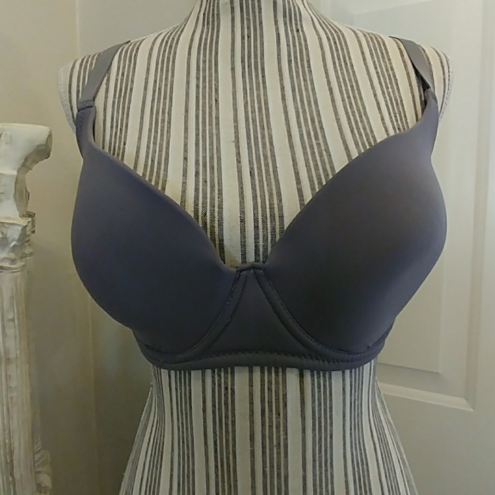 Youmita Gray Bra 34DD